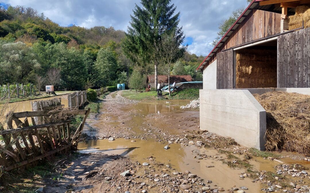 Une rétrospective reconnaissante – un départ plein d’espoir